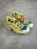 Salomon XTS LAB 4 Aurora Borealis Pack
